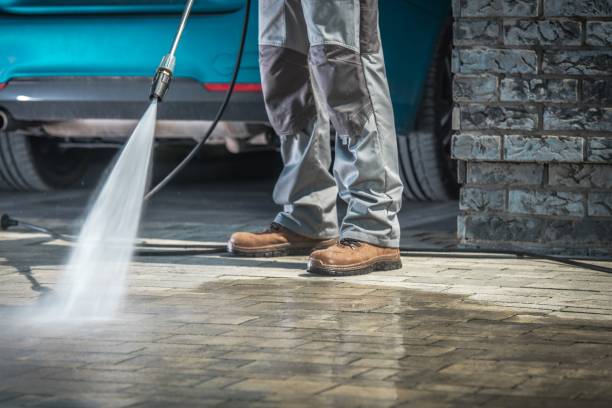 Best Building Exterior Washing  in Boulevard Gardens, FL